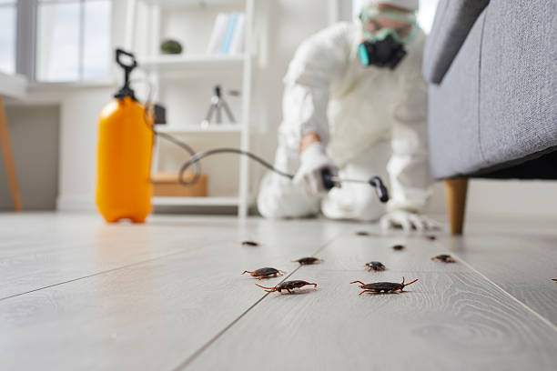 Trusted Cockroach Control service in Huber Heights, OH - Nex Pest Control